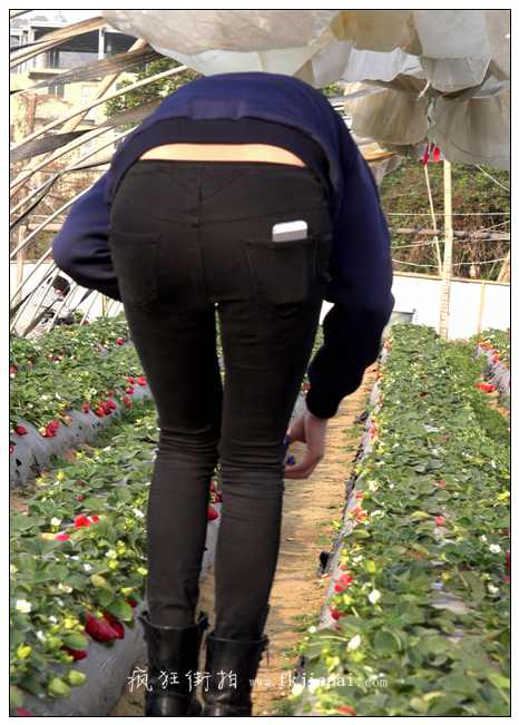 [牛仔裤] 黑紧裤摘草莓的小少妇